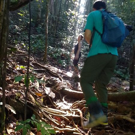 Rainforest River Edge Deniyaya Eksteriør bilde