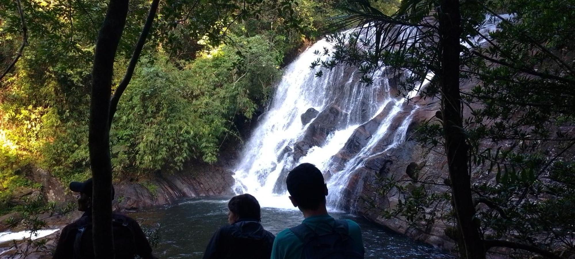 Rainforest River Edge Deniyaya Eksteriør bilde